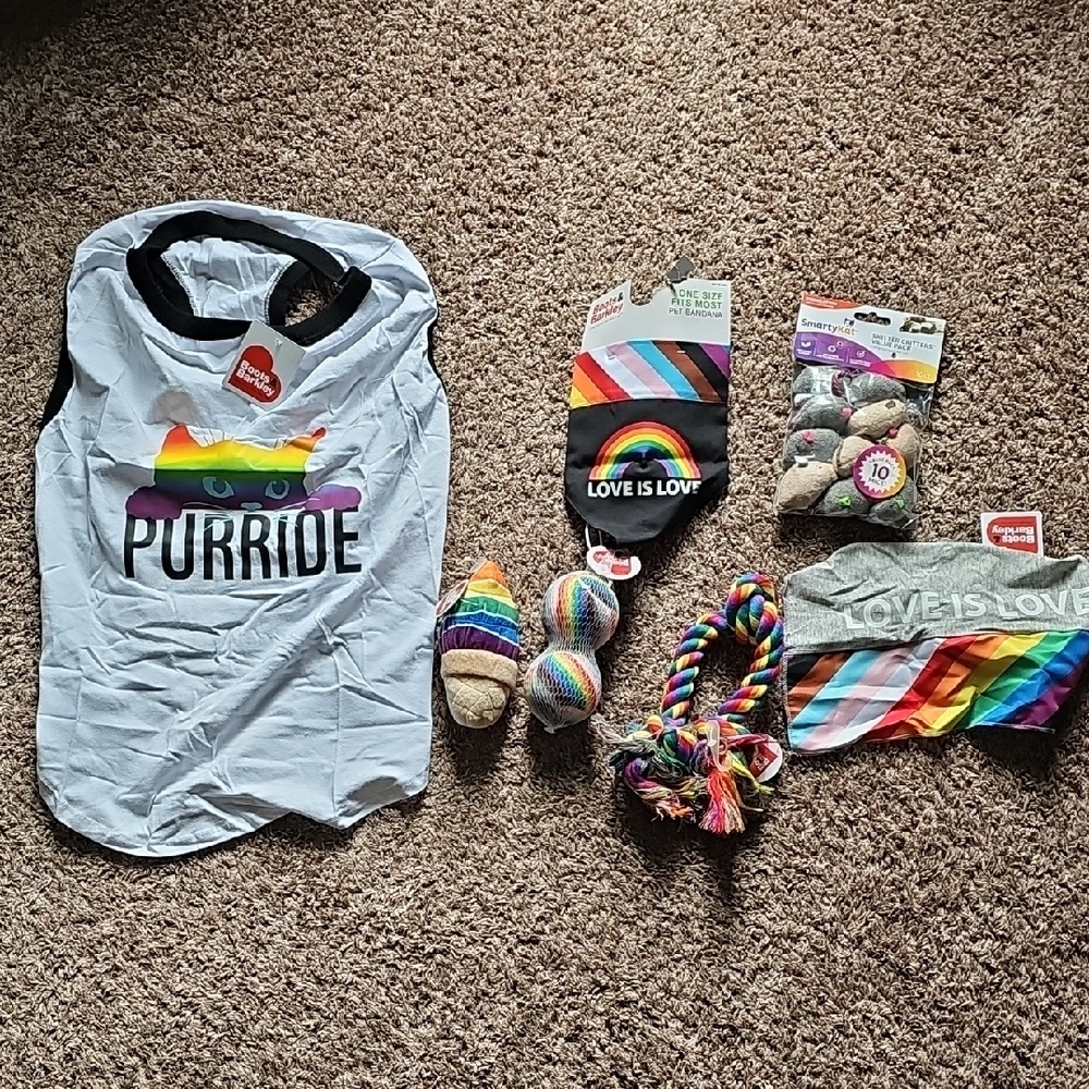Pride Rainbow Pet Accessories Set